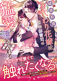 破談前提、身代わり花嫁は堅物御曹司の猛愛に蕩かされる