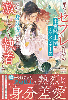 単なるセフレのはずの王宮騎士団のイケメンエースがなぜか身分違いの俺に激しく執着してきます