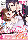 破談前提、身代わり花嫁は堅物御曹司の猛愛に蕩かされる2