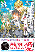 氷の魔術師は王宮騎士の愛に甘く蕩ける