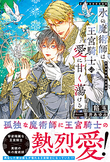 氷の魔術師は王宮騎士の愛に甘く蕩ける