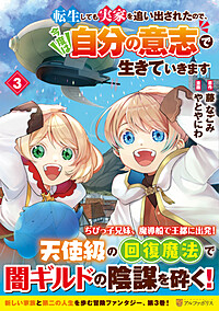 転生しても実家を追い出されたので、今度は自分の意志で生きていきます３