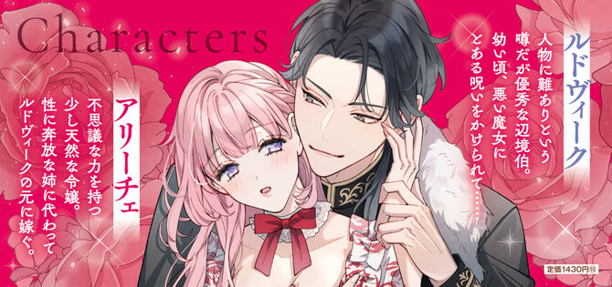 お飾りの妻だったのに、冷徹な辺境伯を絶倫にしたところ溺愛妻になりました