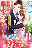 極上エリートの甘すぎる求愛に酔わされています