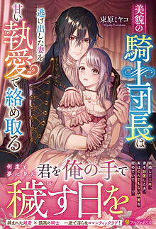 美貌の騎士団長は逃げ出した妻を甘い執愛で絡め取る