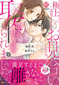 極上エリートとお見合いしたら、激しい独占欲で娶られました２