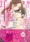 極上エリートとお見合いしたら、激しい独占欲で娶られました２