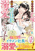 捨てられた花嫁ですが、一途な若社長に溺愛されています