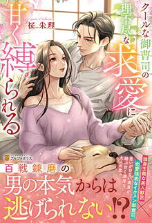 クールな御曹司の理不尽な求愛に甘く縛られる