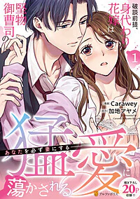 破談前提、身代わり花嫁は堅物御曹司の猛愛に蕩かされる１