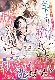 妹に婚約者を奪われたら、年下エリートに拾われてとろとろに甘やかされています
