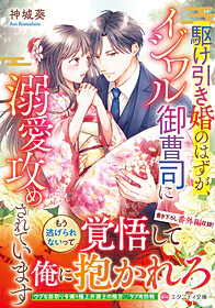 駆け引き婚のはずが、イジワル御曹司に溺愛攻めされています