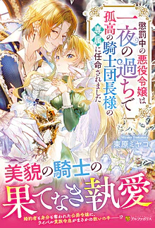 懲罰中の悪役令嬢は一夜の過ちで孤高の騎士団長様の専属に任命されました