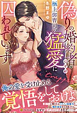 偽りの婚約者のはずが、極上御曹司の猛愛に囚われています