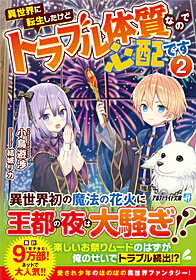 異世界に転生したけどトラブル体質なので心配です２