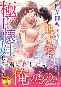 肉食御曹司の独占愛で極甘懐妊しそうです