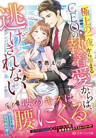 極上の一夜から始まるCEOの執着愛からは、逃げきれない