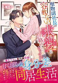 堅物副社長の容赦ない求愛に絡めとられそうです