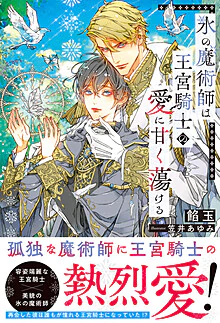 氷の魔術師は王宮騎士の愛に甘く蕩ける