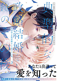 典型的な政略結婚をした俺のその後。３