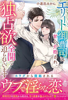 エリート御曹司に甘く介抱され、独占欲全開で迫られています