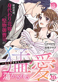 破談前提、身代わり花嫁は堅物御曹司の猛愛に蕩かされる3