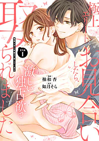 極上エリートとお見合いしたら、激しい独占欲で娶られました 番外編１