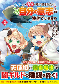 転生しても実家を追い出されたので、今度は自分の意志で生きていきます３