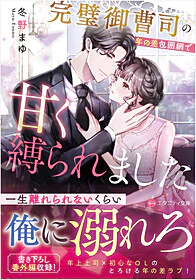 完璧御曹司の年の差包囲網で甘く縛られました
