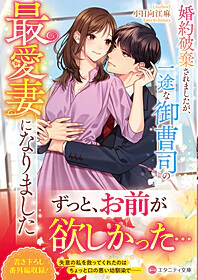 婚約破棄されましたが、一途な御曹司の最愛妻になりました