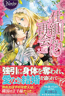 仕組まれた再会