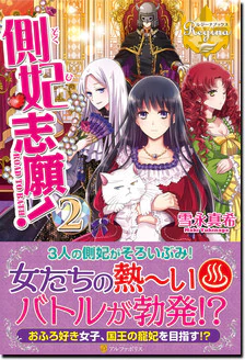 側妃志願！２