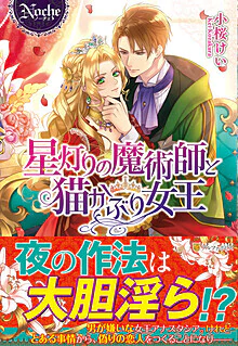 星灯りの魔術師と猫かぶり女王