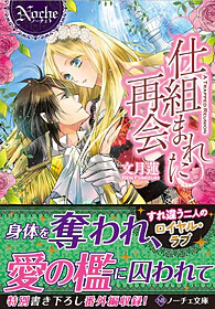 仕組まれた再会