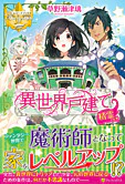異世界戸建て精霊つき