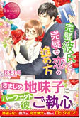 完璧彼氏と完璧な恋の進め方