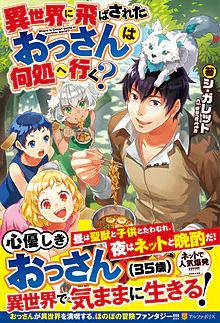 異世界に飛ばされたおっさんは何処へ行く？