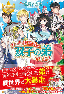 チート転生者は、双子の弟でした！ 