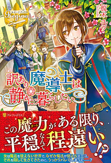 訳あり魔導士は静かに暮らしたい