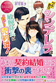 ワケありシンデレラは敏腕社長に売約済！