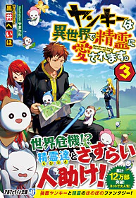 ヤンキーは異世界で精霊に愛されます。３