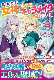 気まぐれ女神に本気でキャラメイクされました３