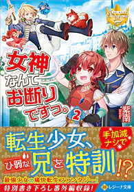 女神なんてお断りですっ。２