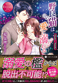 野良猫は愛に溺れる