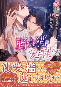 野良猫は愛に溺れる