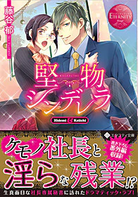 堅物シンデレラ