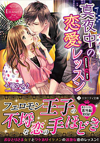 真夜中の恋愛レッスン