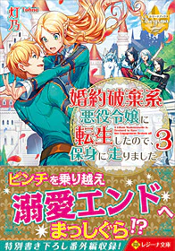 婚約破棄系悪役令嬢に転生したので、保身に走りました。３