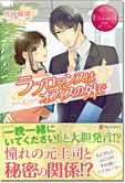 ラブロマンスはオフィスの外で