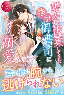 婚約破棄してきた強引御曹司になぜか溺愛されてます